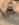 7A3EB190-0A61-47F1-8FF5-6C25619B498B.jpeg