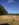 20190905_085958_Burst01.jpg