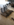 1573E643-6972-4B5B-BB79-000973A53D66.png