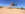 949A653D-C17D-4185-9284-C2497459BE7A.png