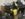 D259F539-4F52-424B-9830-D77D4145863A.jpeg