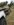 9E3B1B76-7D4E-40F9-B158-EB3C84533DAC.jpeg