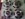 62E7C5AF-1E27-42FC-9D31-2A5B77EB6D12.jpeg