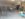20190919_094355.jpg