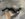 82C26A11-4B3F-4258-9F1E-2C60415D0C7E.jpeg