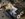 93F9B611-BC05-4482-B787-483E0782BD8A.jpeg
