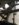 received_354839615458085.jpeg