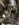 4DC88E50-0C7C-44A8-8060-CC865973B7A4.jpeg