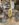 D9388E71-1F5A-4955-A36F-2FBEE2BA51FE.jpeg