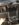 21D2D39F-2A3B-47CC-BCA0-326D5020D9D3.jpeg