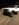 191816FC-ED31-4468-BB71-D1751FBC8535.jpeg