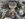 33F63A1D-EB05-41B8-988B-D4D1DC15400C.jpeg