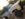 93DD9E49-5D73-4E37-81A4-63BDFE572353.jpeg