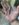 1A241ADF-AEF6-44A5-BDE9-B8F53BB78A59.jpeg