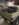 6C00C18F-0CCA-47A5-9CB3-6500ACFA8102.jpeg