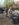 E508DBF2-CBE0-49AD-A85D-CB88145572F8.jpeg