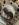 EF32FA7E-D350-4EE0-BA3C-919421D31105.jpeg
