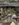 B2C15D81-A8F8-450D-A612-EBD8E1061F55.jpeg