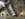 75E37422-8560-4416-83E0-46E08A04CAA3.jpeg