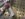 68468E1F-3E3F-464B-8607-10688EE1D7B3.jpeg