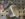 BA11BC03-2233-4ACD-9BC3-62F1F37ACFFF.jpeg