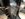 B800D3A0-6FC4-40FA-B242-54C55F64240B.jpeg