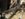 2AEEA229-2F26-4D88-A85C-0A037D5C3662.jpeg