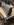 DED20EFA-3C09-42CE-9525-D45D883BCE3D.jpeg