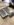 212D4B2C-9C04-452D-8817-942A2F7495F5.jpeg