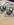 7635553D-8DE5-497F-9637-E9863FB7C7E7.jpeg