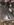 C993213C-B1AB-43C9-81C4-F19B2161004F.jpeg