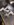 78B69F16-36E6-487D-911C-0985867C2C99.jpeg