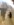 C5338422-2025-4B81-9610-1078BB8B3E57.jpeg