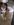 1A159BDB-9067-45C1-9508-21BEEF9AF743.jpeg