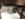 6B00229F-0BFE-4E8E-AC99-F3CFFD6DE25C.jpeg