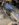 D37CD08C-5A8C-40F9-9EBE-A526EAC562E6.jpeg