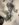 73777744-BE73-40A8-9772-DED9DABF562E.jpeg