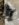 62EC38C4-7429-43A9-A5A7-184405BBC459.jpeg