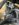 AB331E7C-9AC1-426C-A7BA-3C976E976306.jpeg