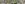 72045599_3015273208502327_7060329869825015808_o.jpg