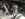 A98421D6-015B-4521-AB22-FCE12E87673C.jpeg
