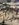 6B11AF31-99AC-406C-BA97-D4A5863F69AE.jpeg