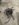 870E919B-2EE1-49EF-B619-704313048C80.jpeg