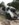Attach52416_20171008_135228.jpg