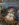 9D8314BC-164D-462E-9D0F-EE5563A2BAD0.jpeg
