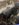 B6562755-6987-42C4-B6DD-429E8A50CC65.jpeg