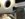 600049ED-AEF7-47A3-A2F1-B0B048DA1C8A.jpeg