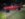 A54887DE-BDAC-4ECE-978E-BF67A76ACAEB.jpeg