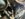 2C57E5AD-179B-42A7-B7AE-9931324D9AA4.jpeg