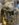 199CB64F-15D2-49D1-9DEF-4973094DFF29.jpeg